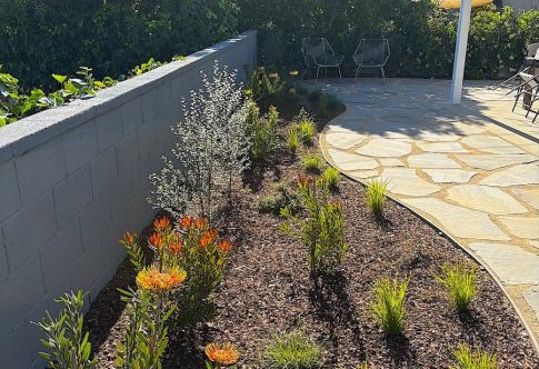 Replacement_photo_Services_copy