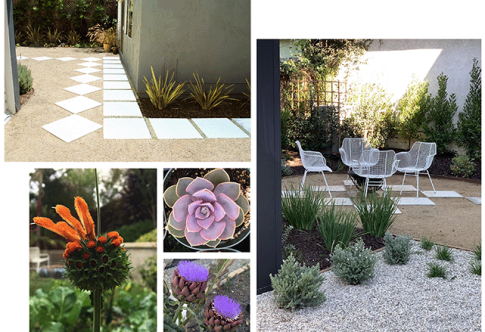 _Services Collage _2